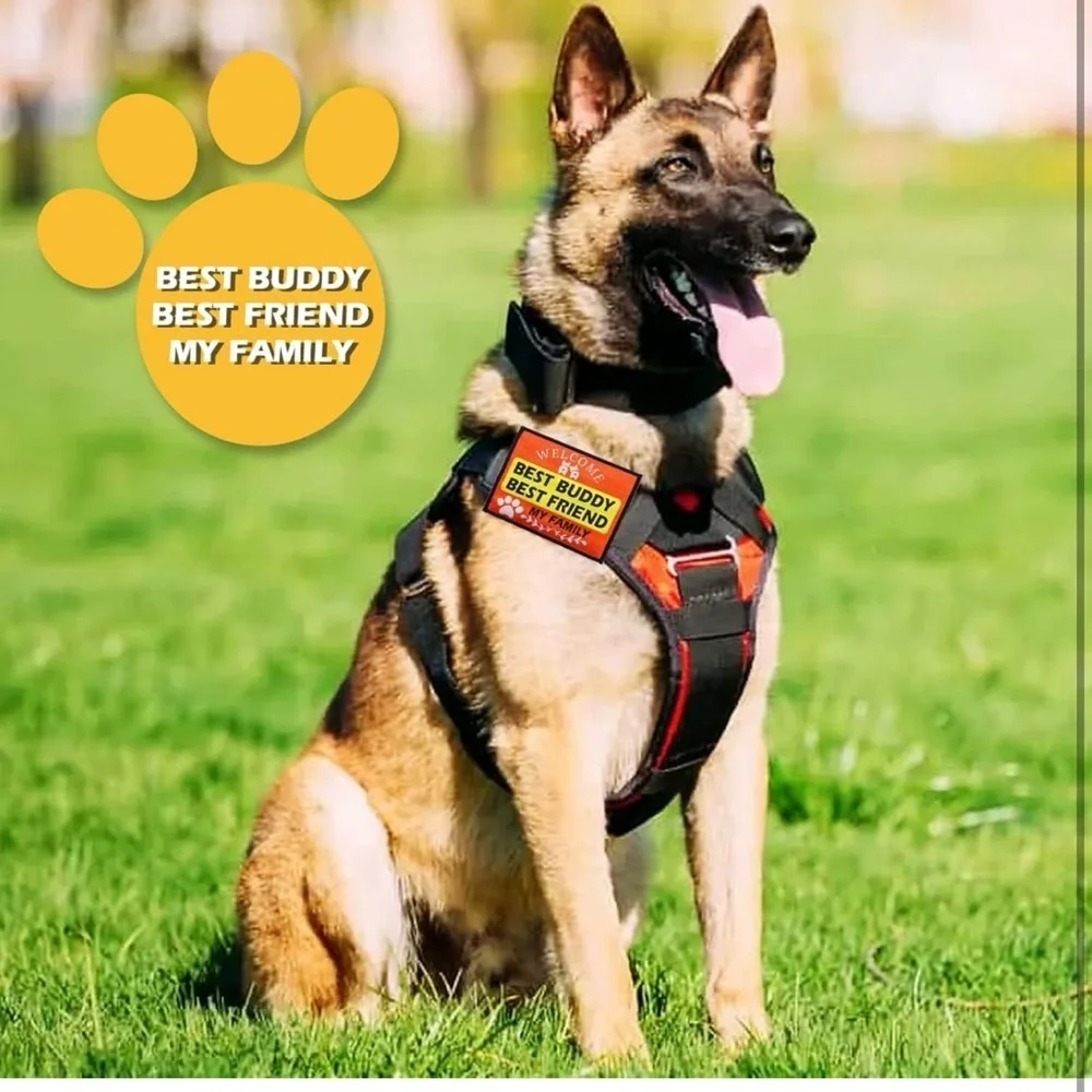 Service Dog Patch Set 9 pcs dog patches for harness in different styles - Picture 6 of 7